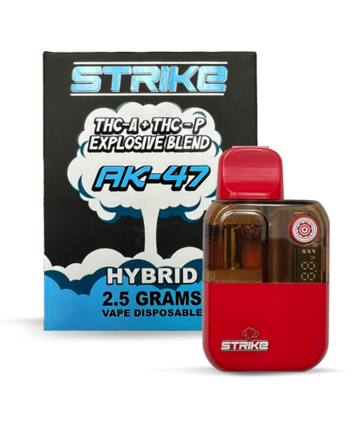 STRIKE 2.5G DISPOSABLE HYBRID AK-47