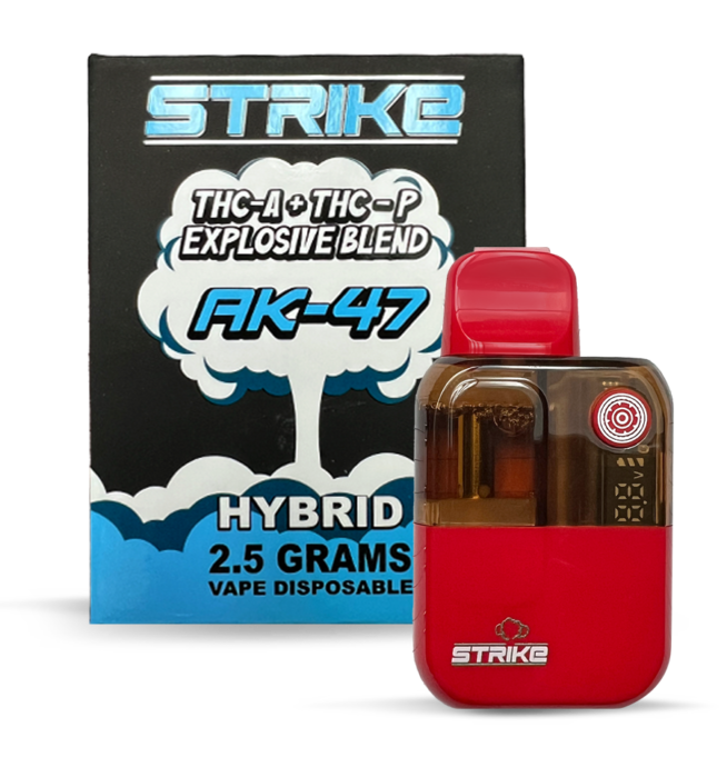STRIKE 2.5G DISPOSABLE HYBRID AK-47